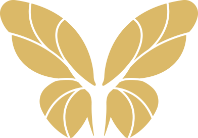 butterfly butterfly