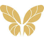 icon-3